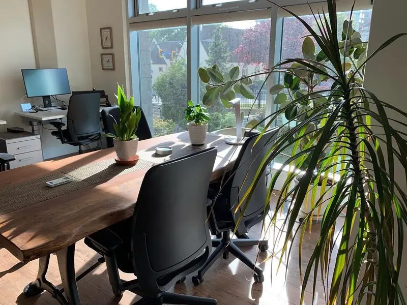 The Digital Desks office: a long wooden desk, sit/stand workstations and tall windows